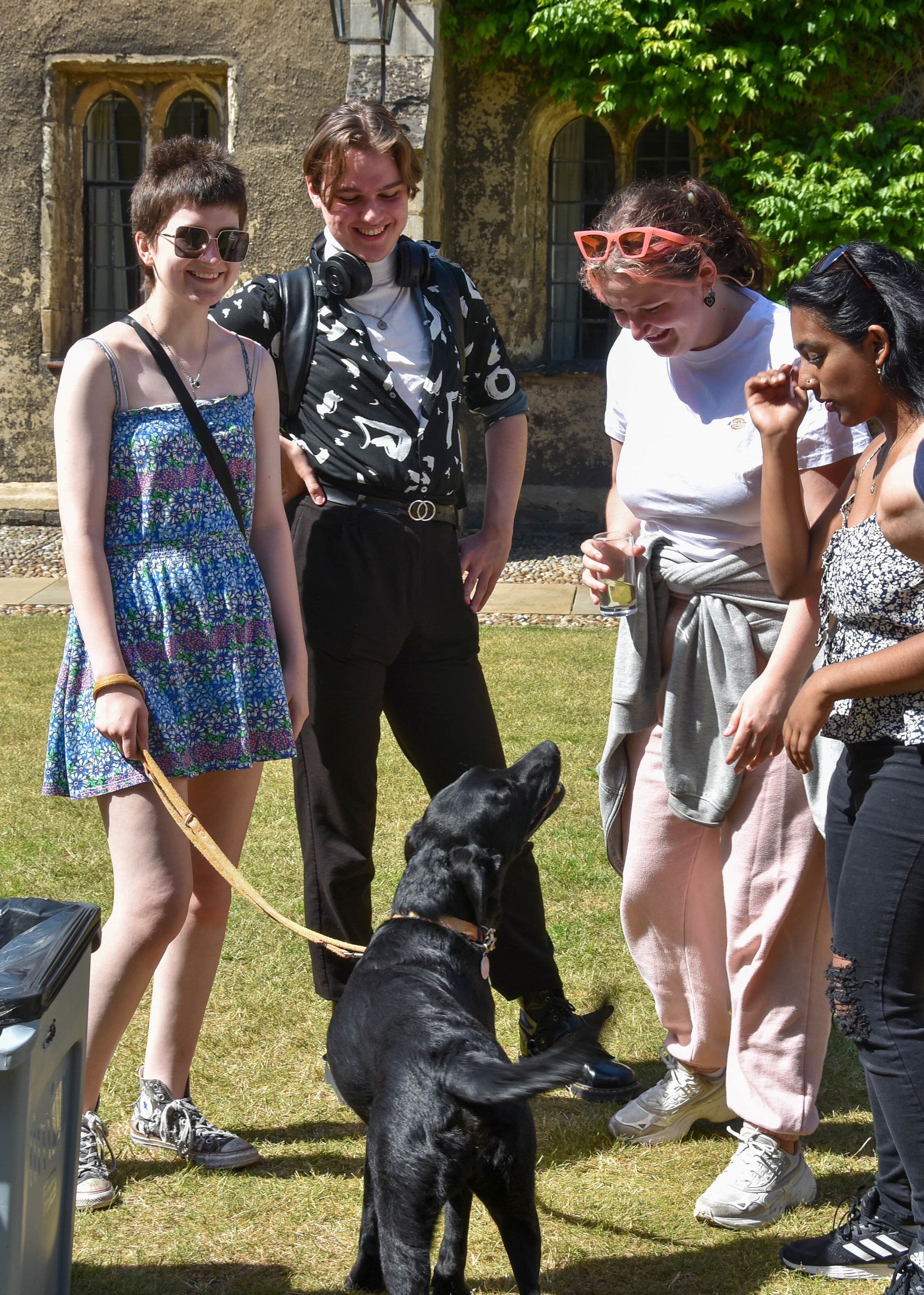 Brandon in Old Court