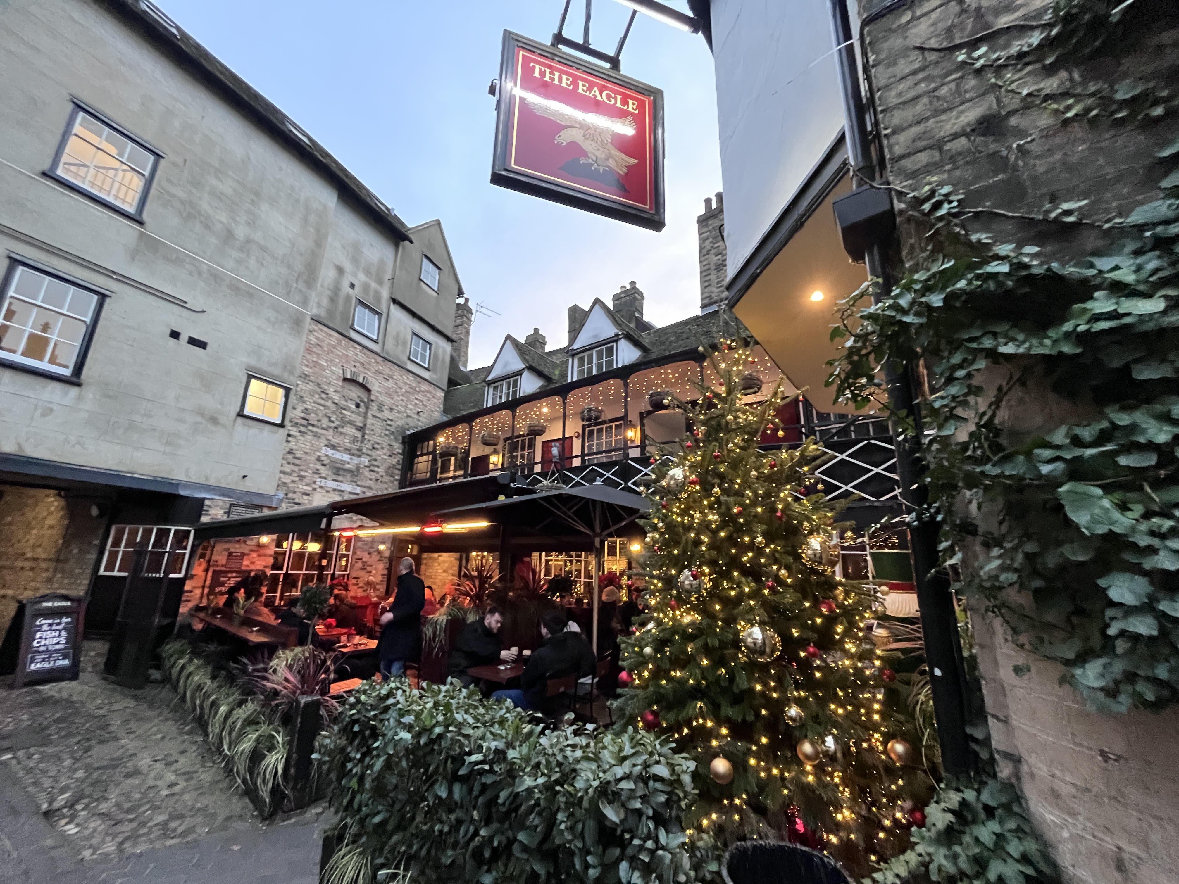 The Eagle by Fiona Gilsenan