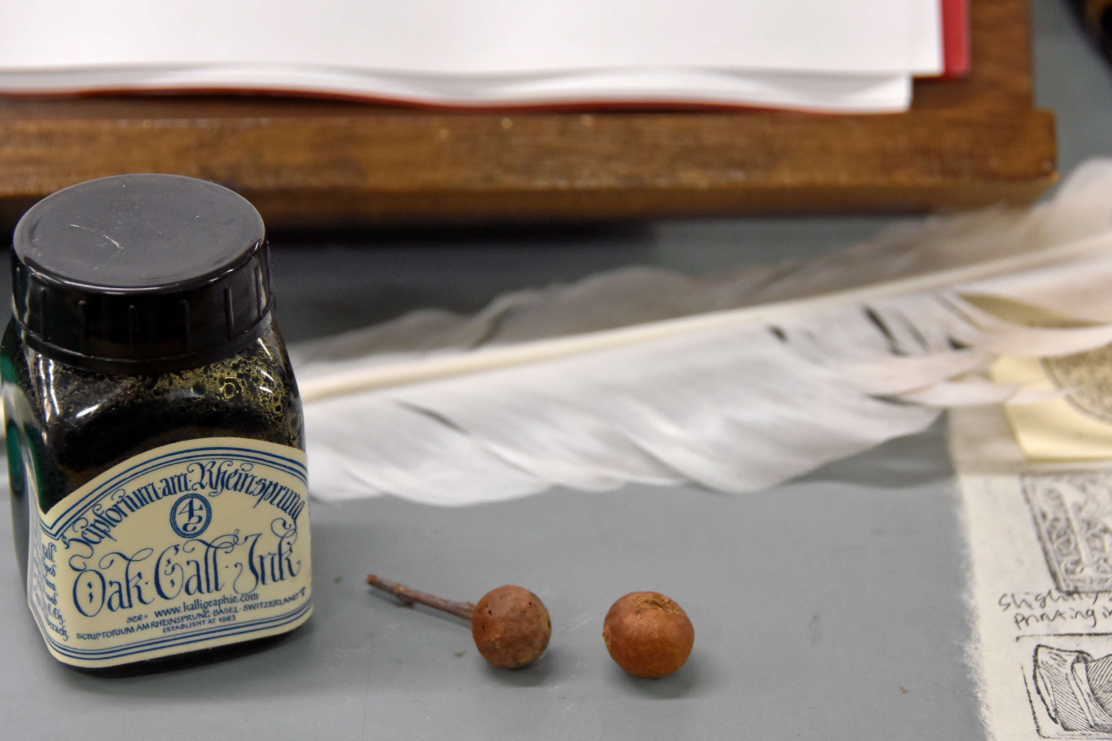 Inks for manuscripts were drawn from a wide range of biological and mineral sources. Oak gall ink was made from tannins extracted from the swellings on oak trees formed around gall wasp eggs.